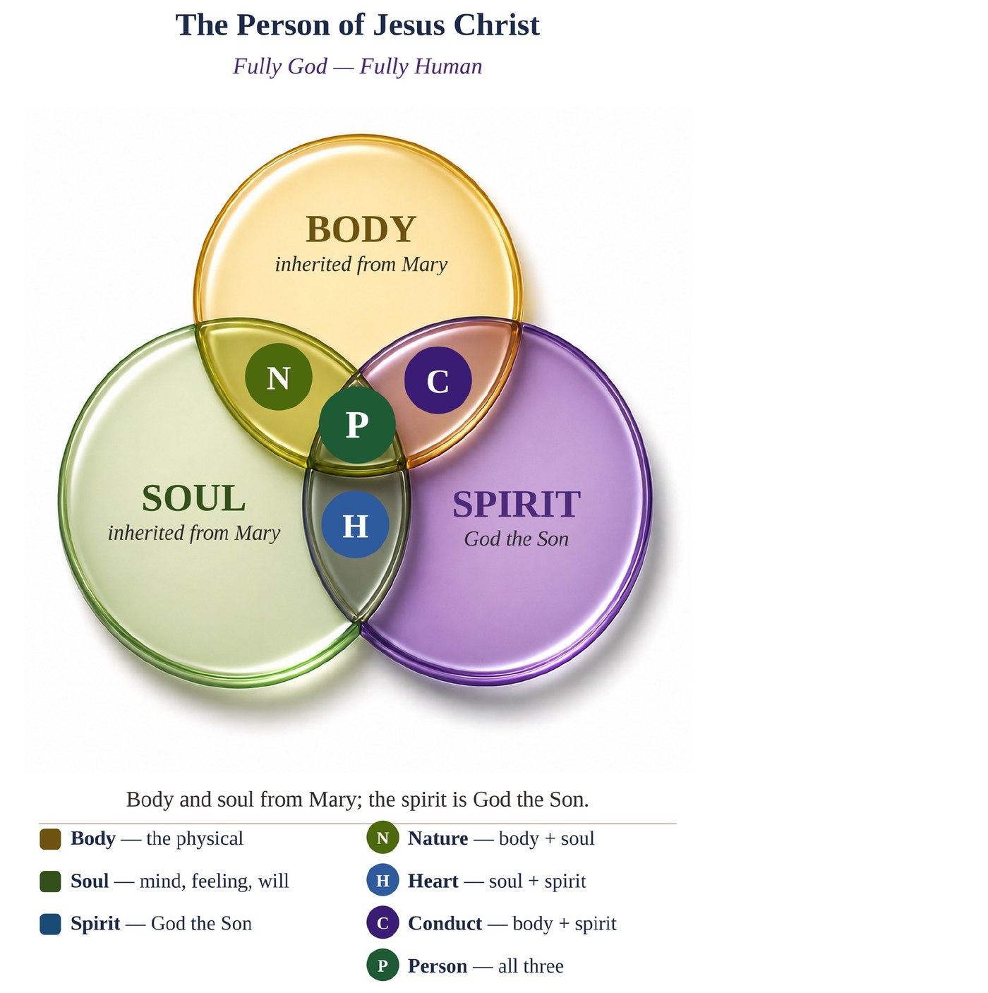 Figure 3 from the paper: three overlapping circles labelled Body, inherited from Mary; Soul, inherited from Mary; and Spirit, God the Son, shown in purple. The overlaps are marked N for Nature, H for Heart, C for Conduct, and P for Person at the centre.
